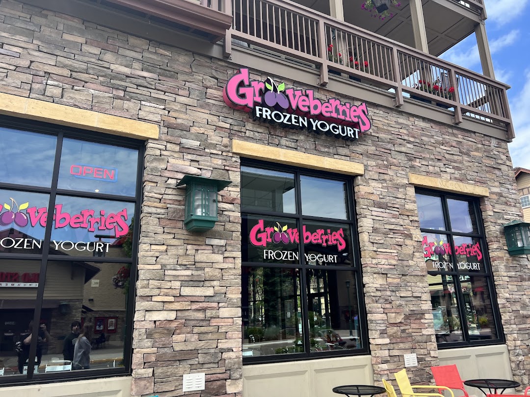 Photo of Grooveberries Frozen Yogurt