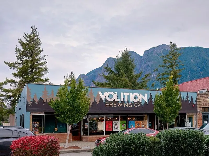 Volition Brewing Co.