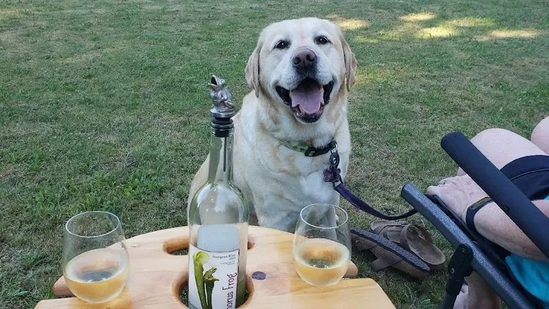 Chorus Frog Winery