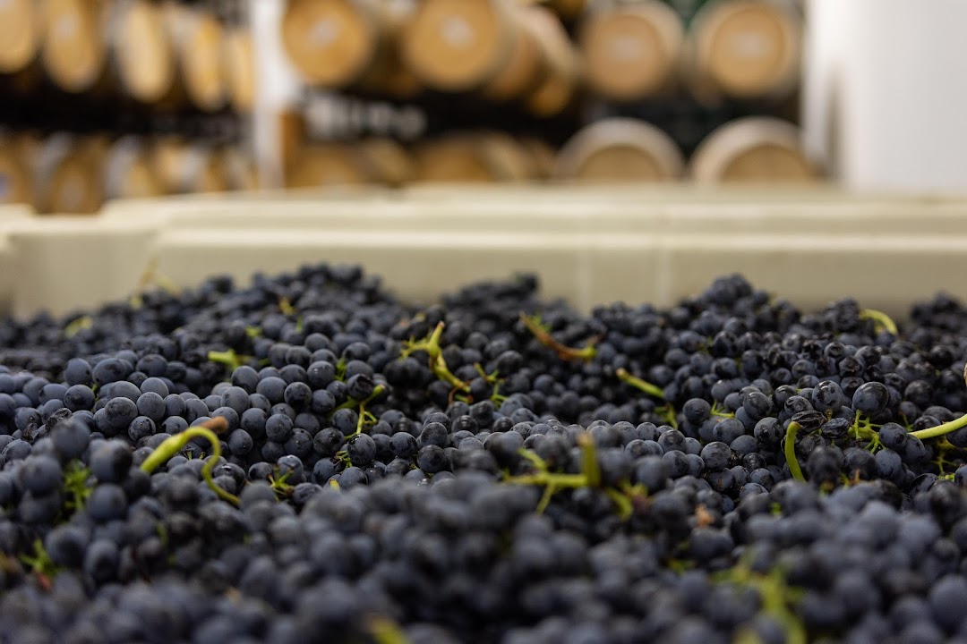 Photo of Tinte Cellars Winery and Tasting Room