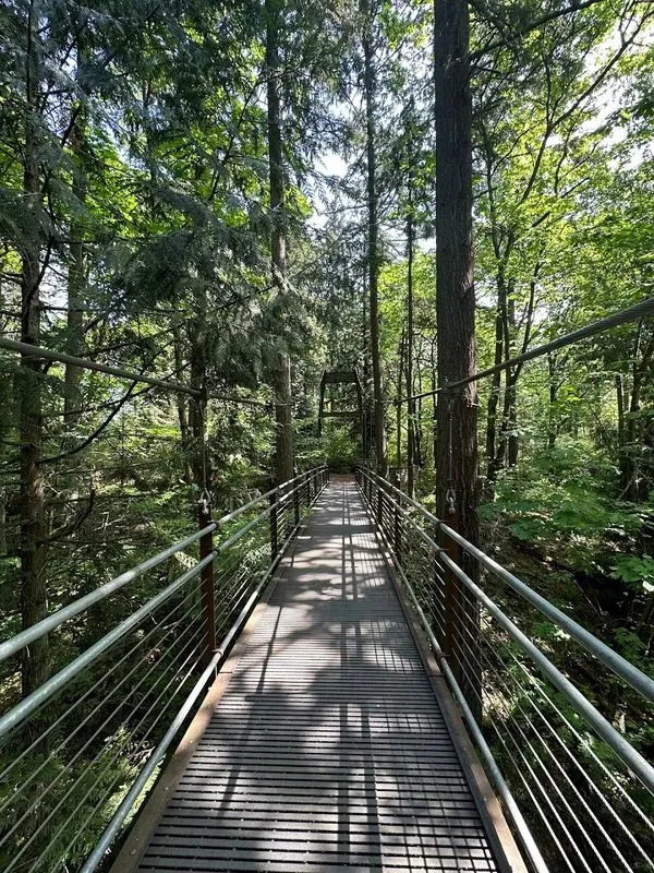 Garden Ravine Experience