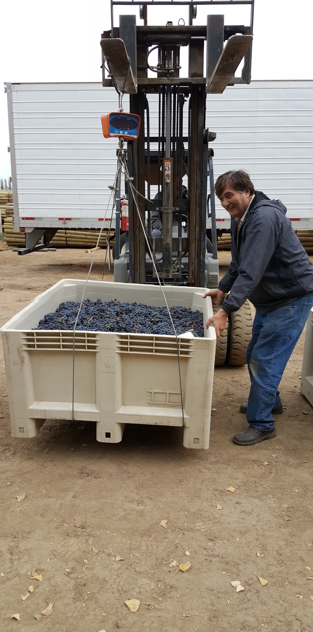 Photo of Soos Creek Wine Cellars