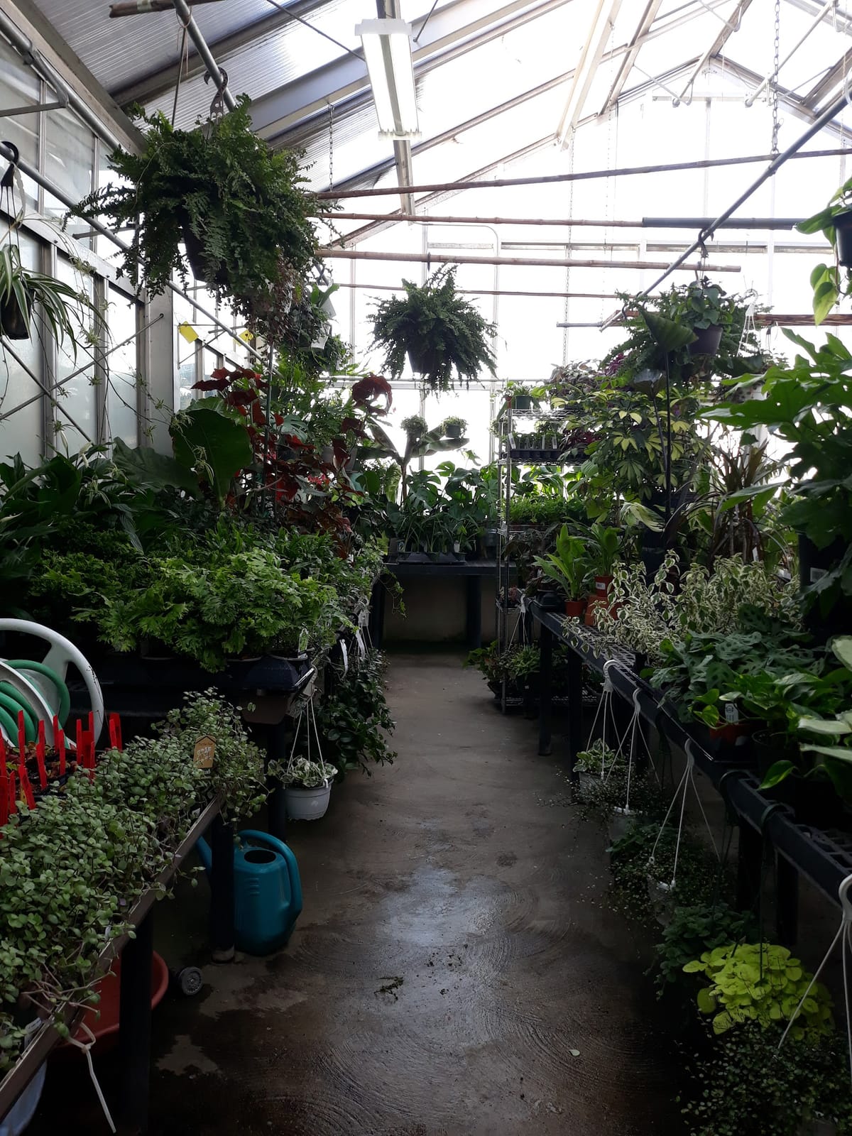 Photo of Northwest Seed & Pet