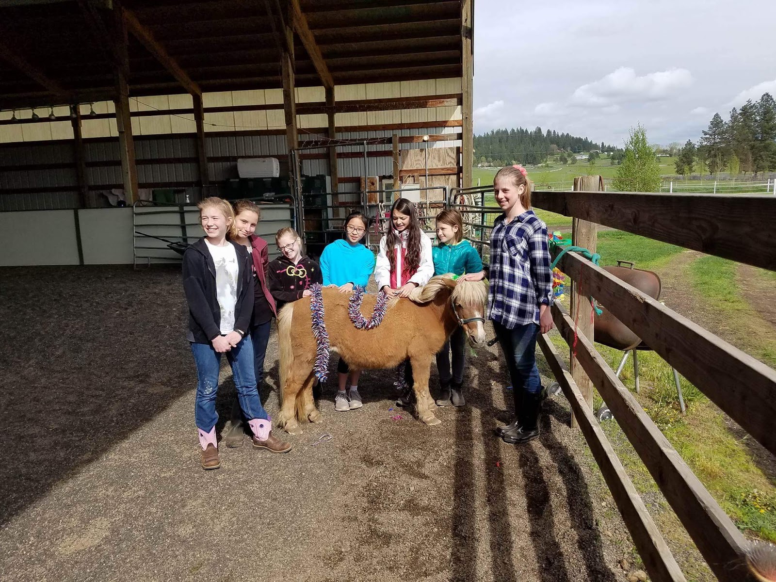 Photo of Mini Acres Trot-About Riding School