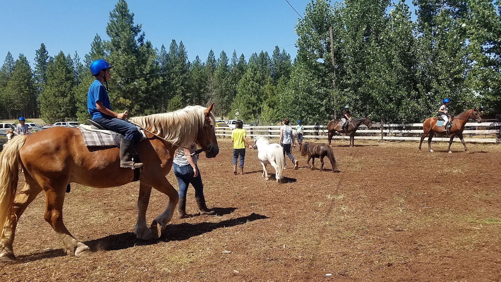 Photo of Mini Acres Trot-About Riding School
