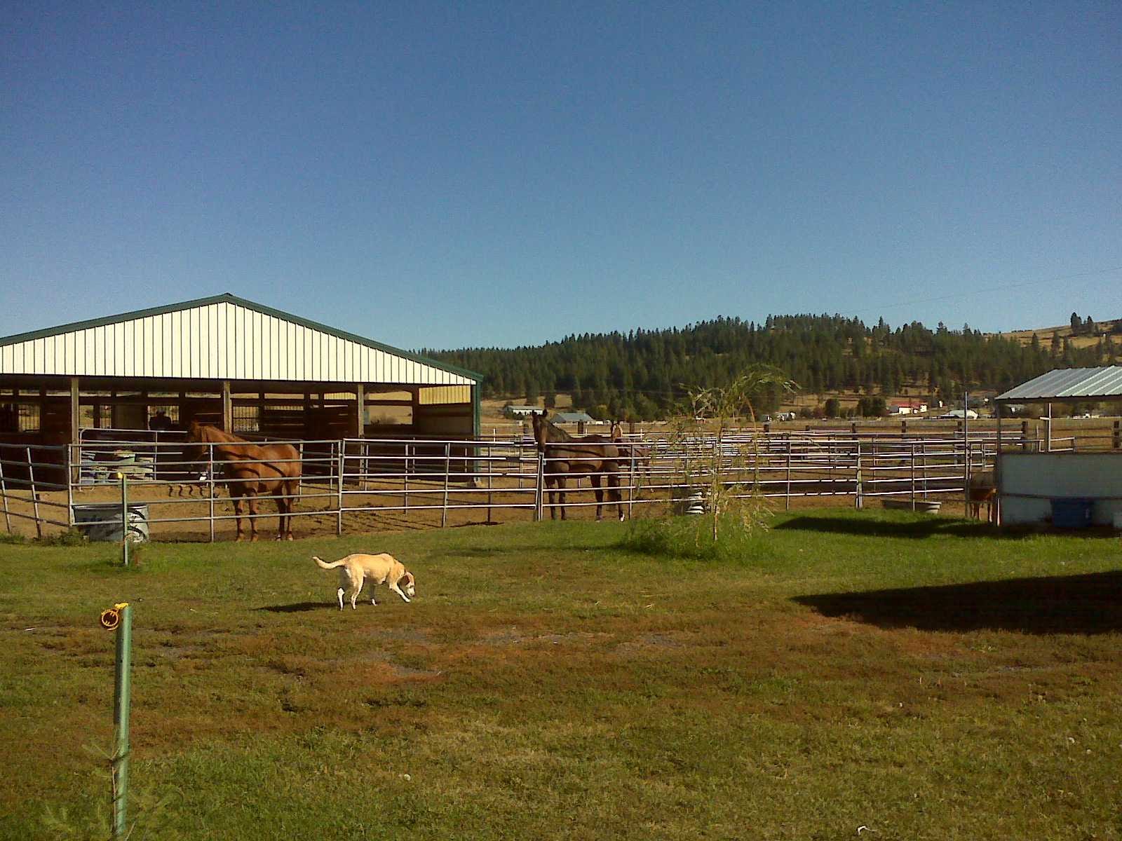 Photo of Mini Acres Trot-About Riding School