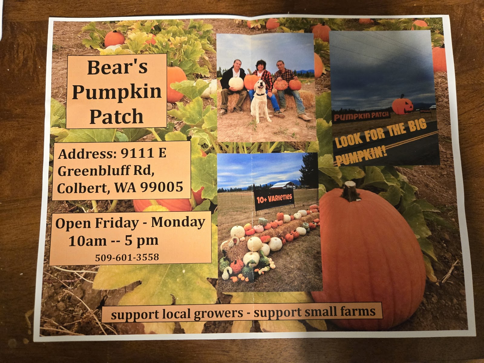 Photo of Bear's Pumpkin Patch