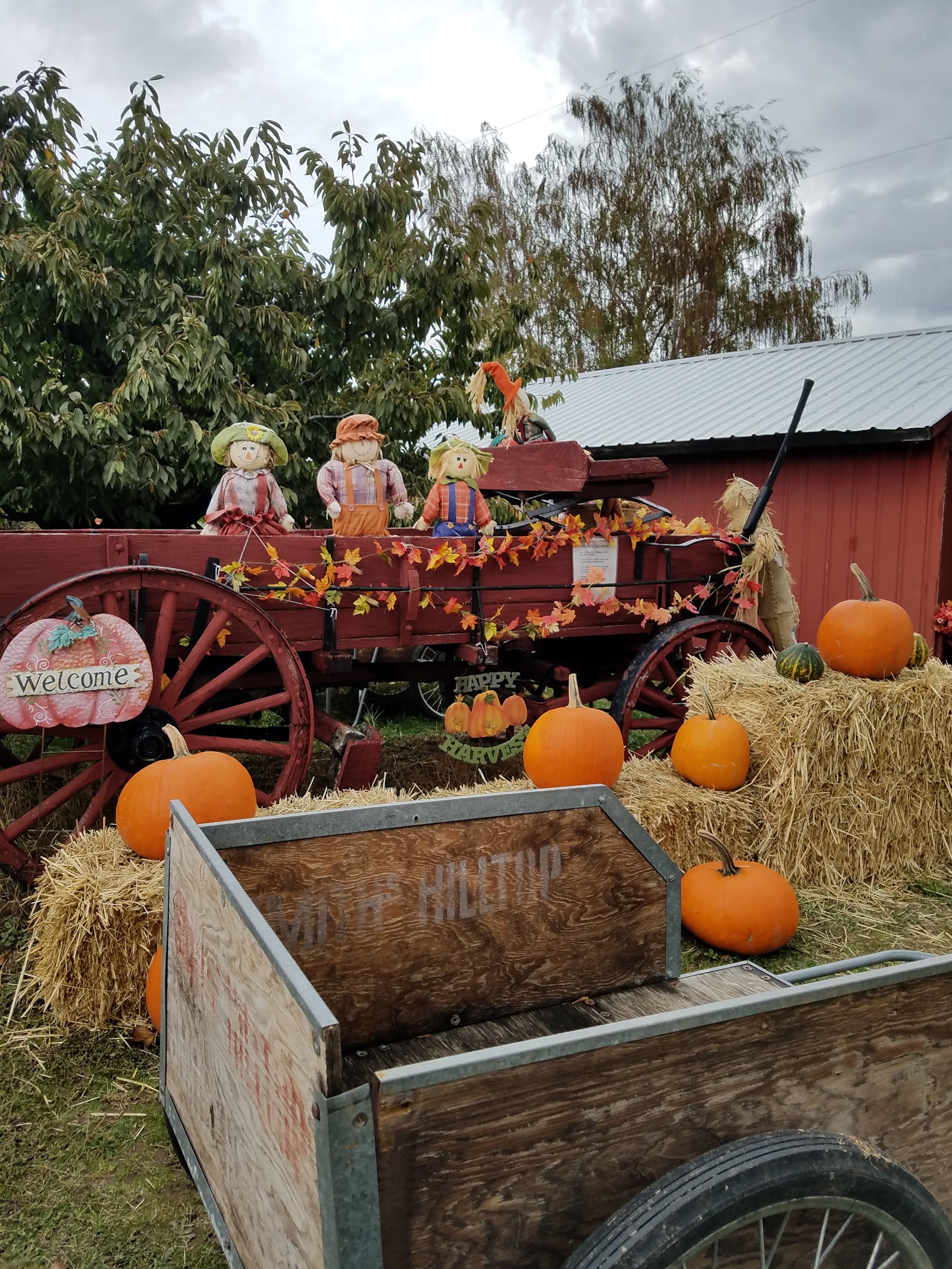 Photo of Cherry Shack Orchard