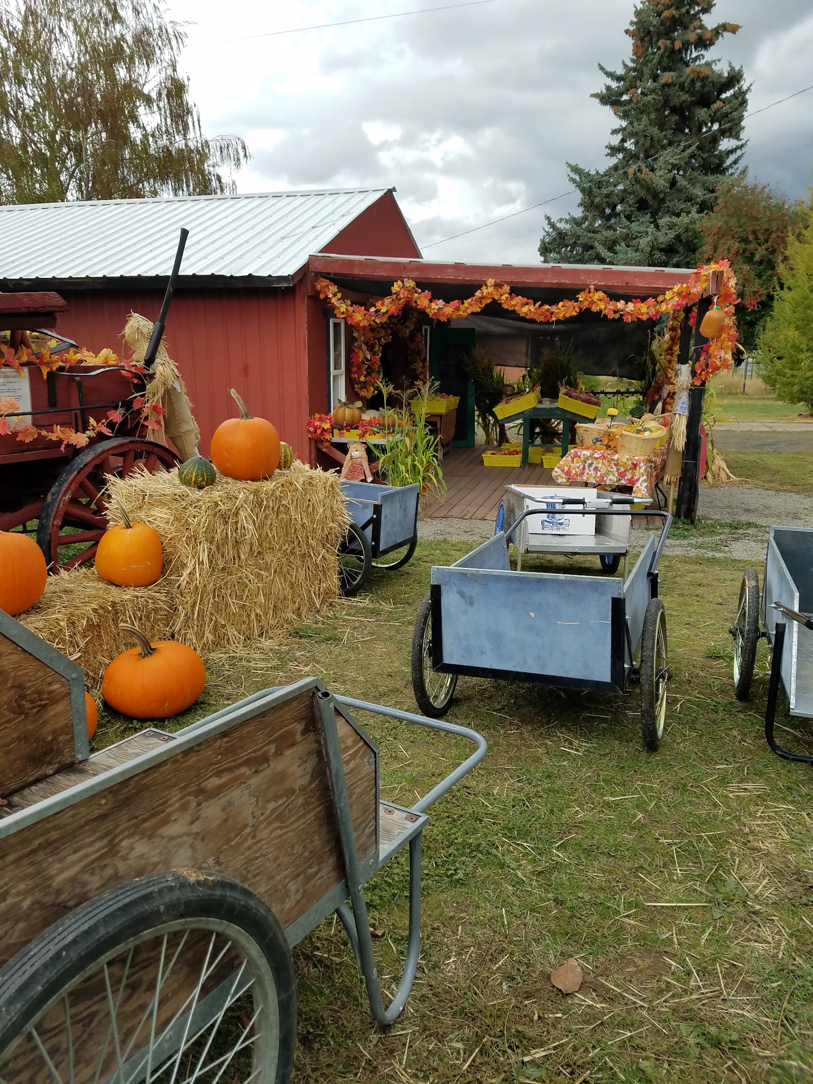 Photo of Cherry Shack Orchard
