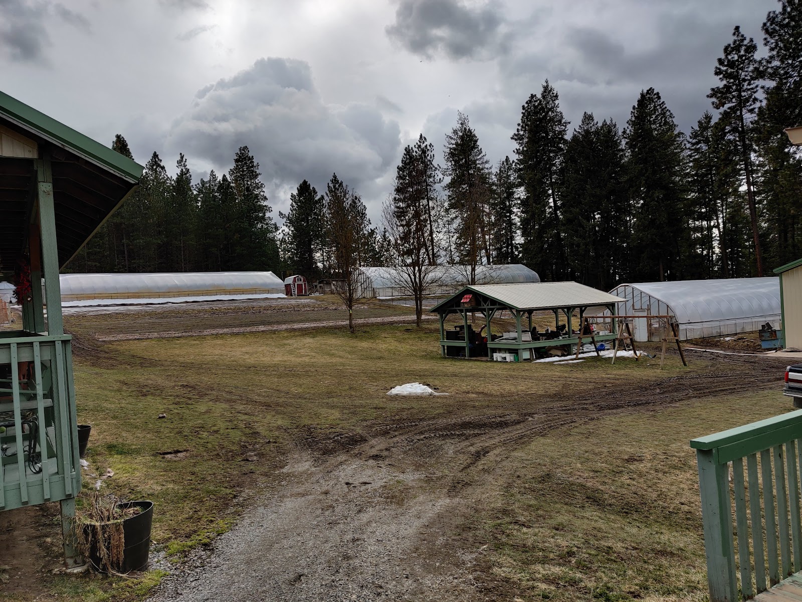 Photo of Strawberry Hill Nutrition Farm