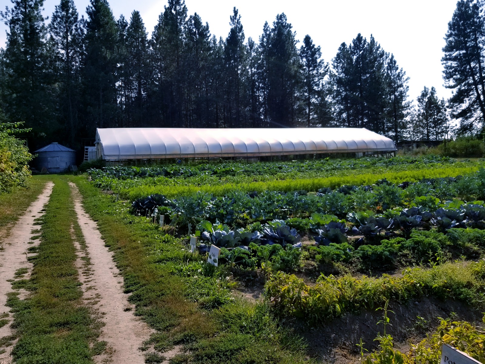 Photo of Strawberry Hill Nutrition Farm