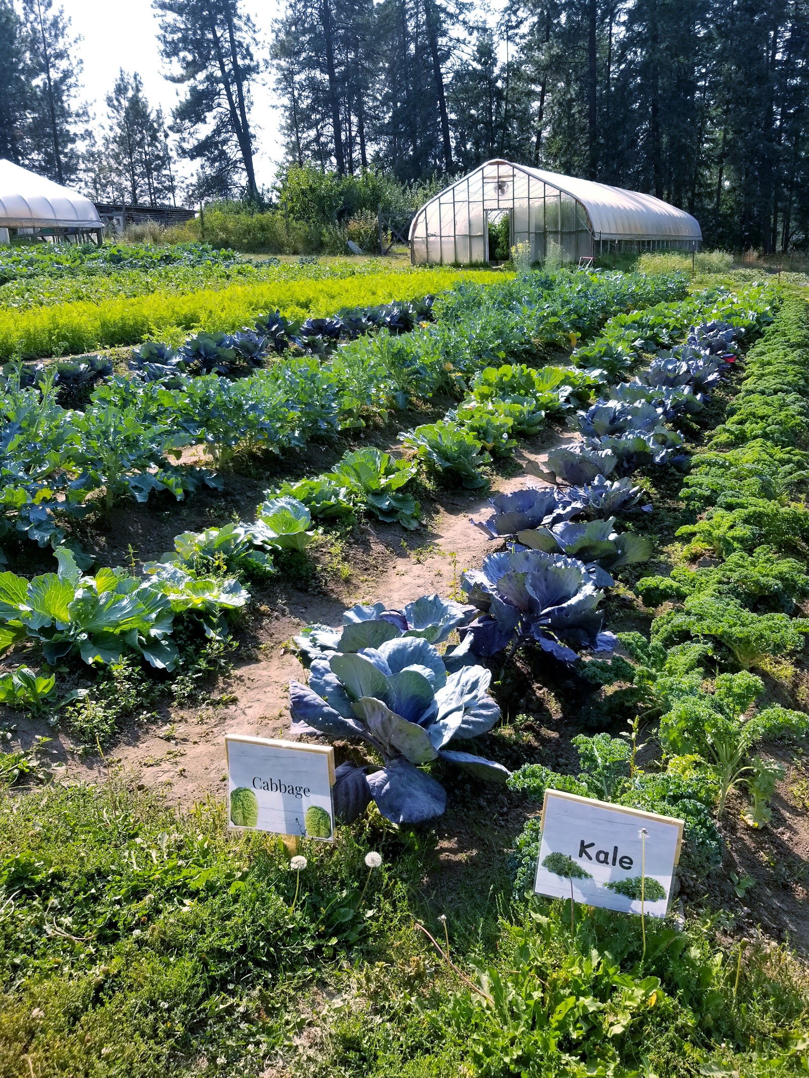 Photo of Strawberry Hill Nutrition Farm