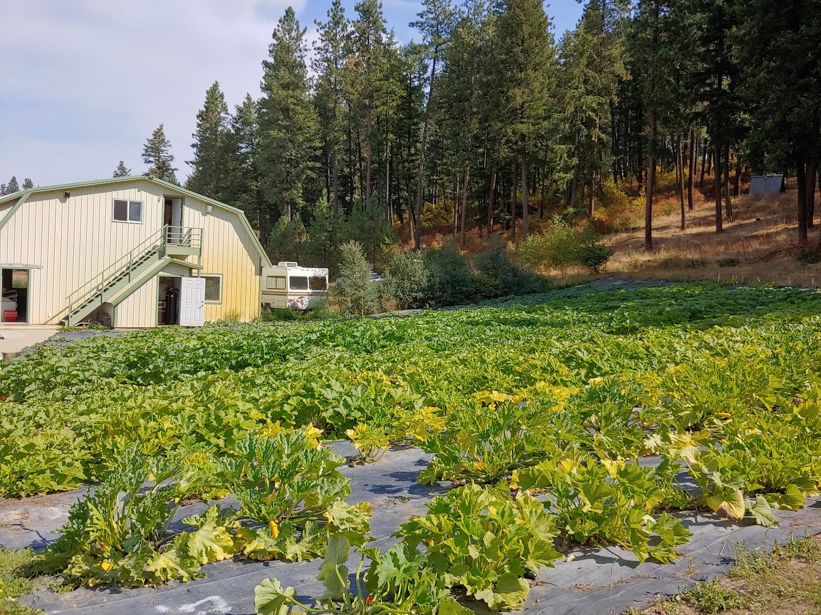 Photo of Strawberry Hill Nutrition Farm