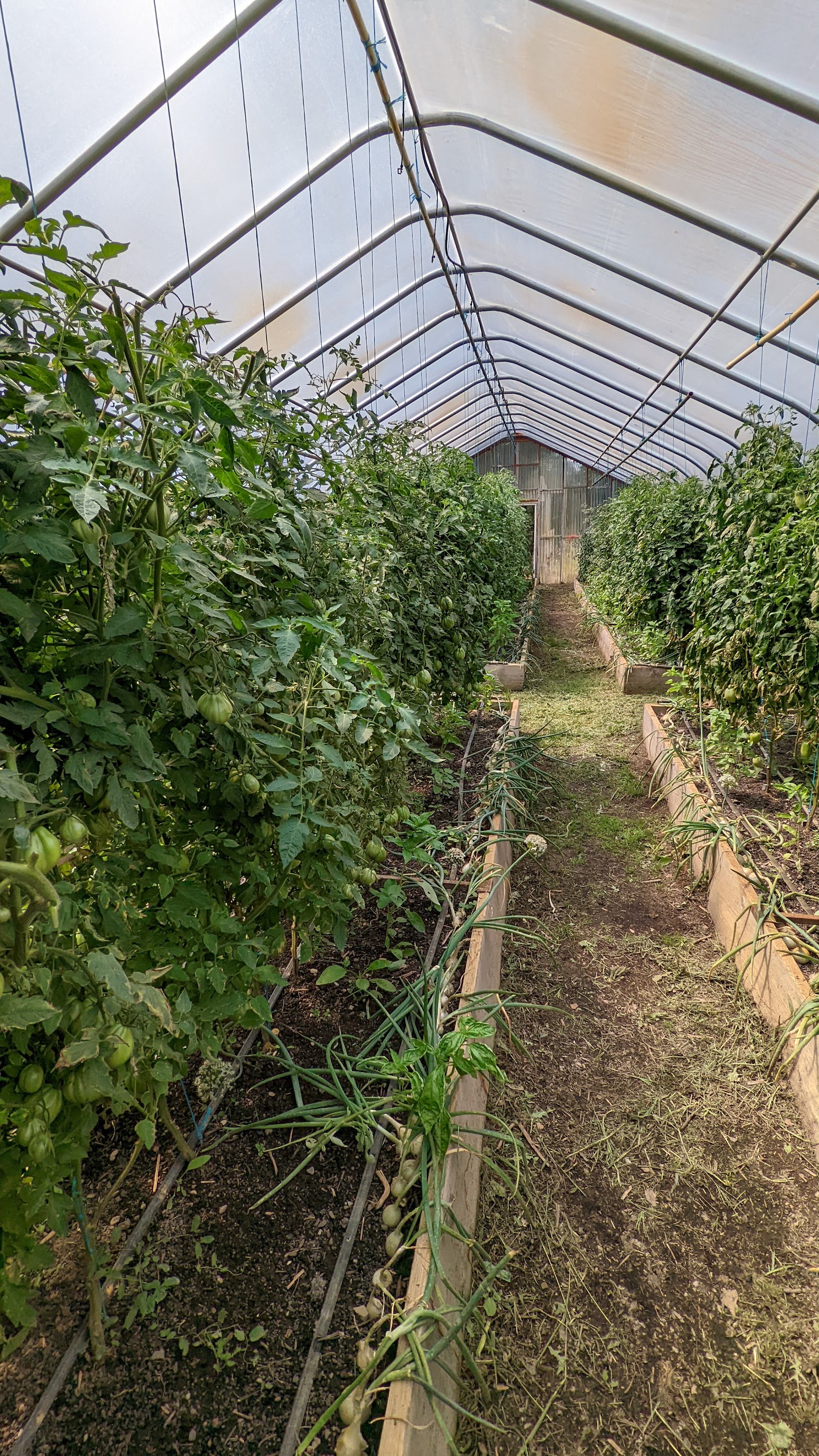 Photo of Strawberry Hill Nutrition Farm