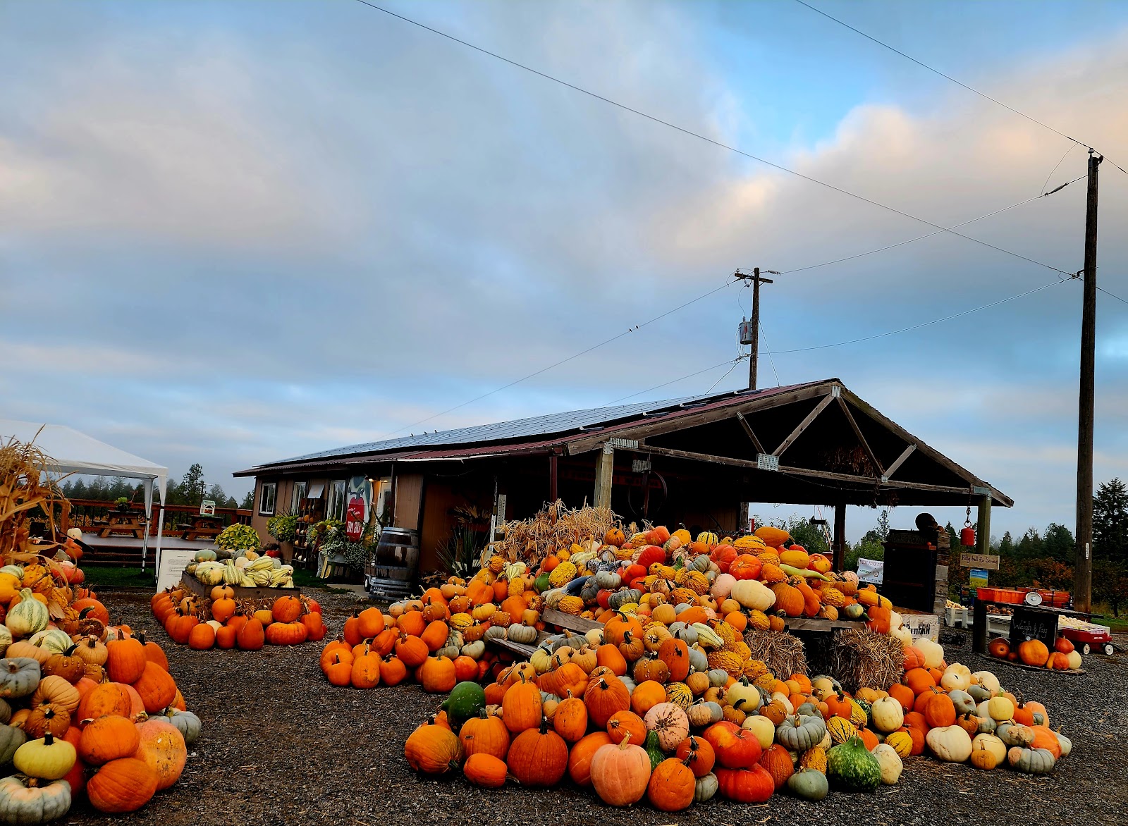 Photo of Hidden Acres Orchards