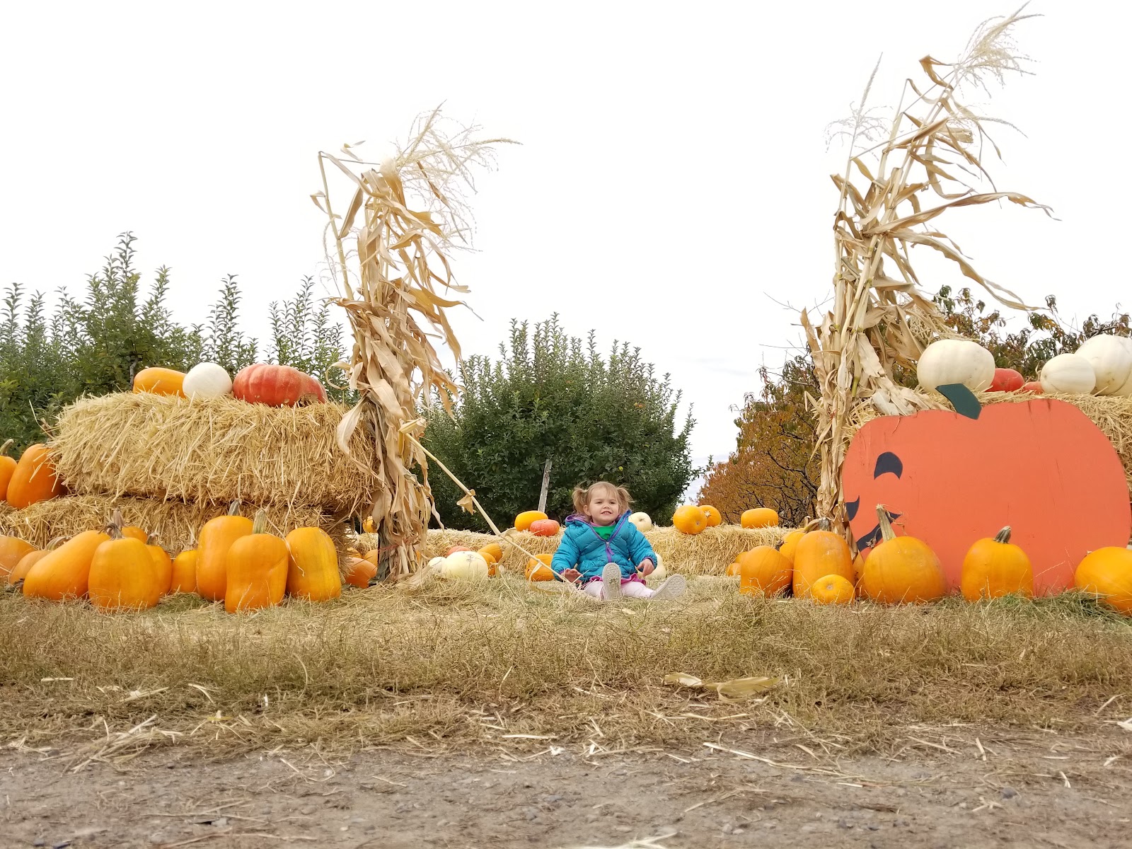 Photo of Hidden Acres Orchards