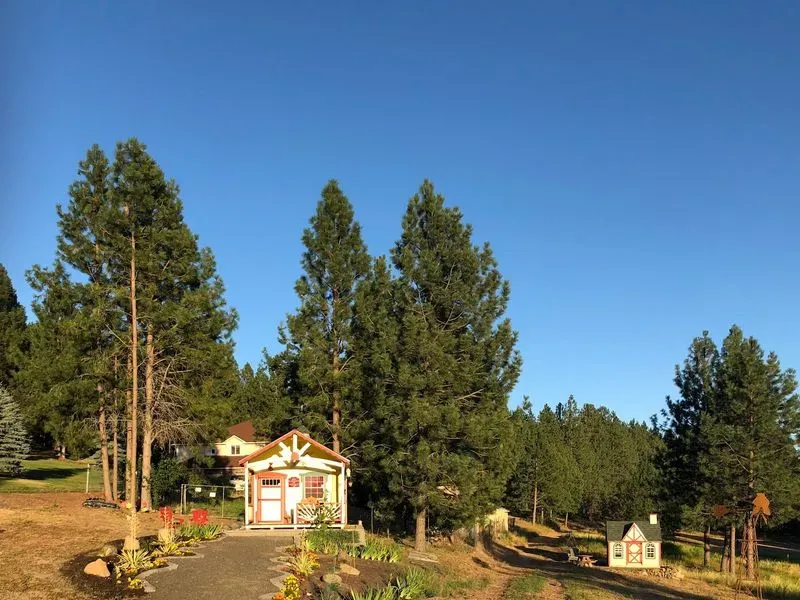 Sunshine Farm