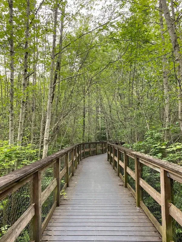 Narbeck Wetland Sanctuary