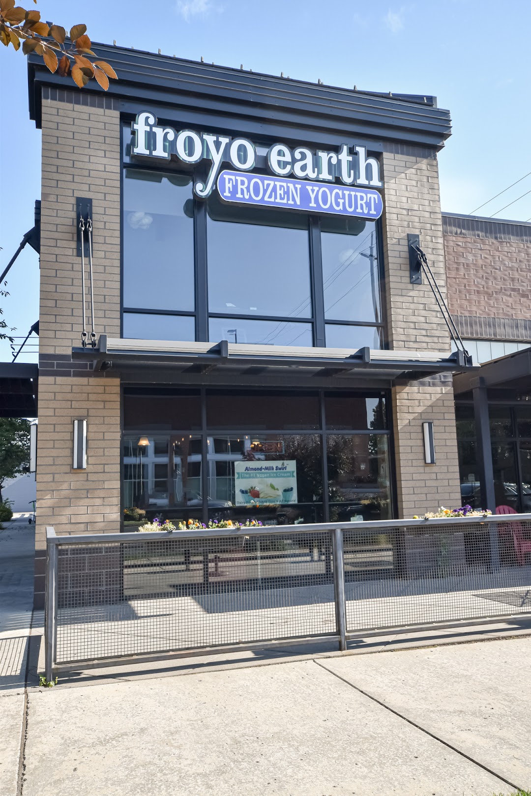Photo of Froyo Earth