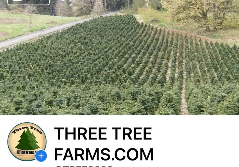 THREE TREE FARMS