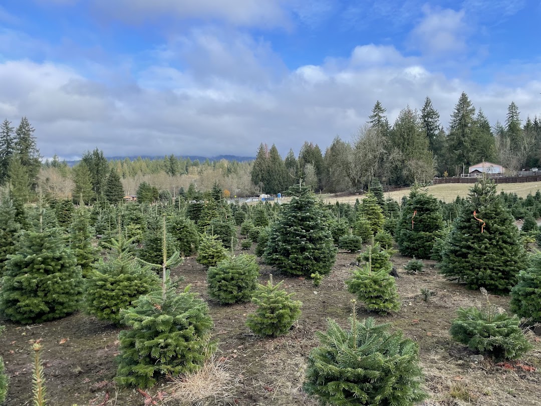 Photo of THREE TREE FARMS