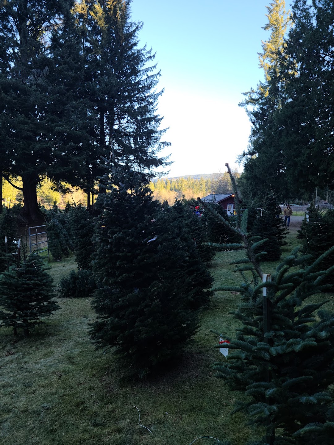 Photo of THREE TREE FARMS