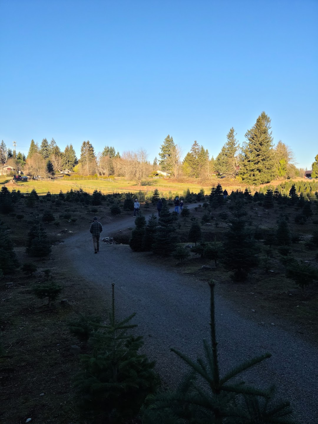Photo of THREE TREE FARMS