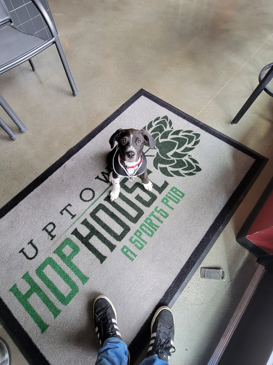 Photo of Uptown Hophouse