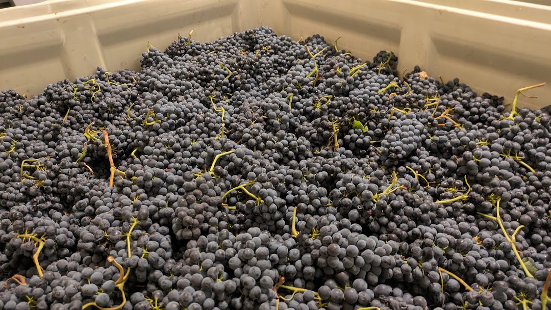 Photo of Latta Wines