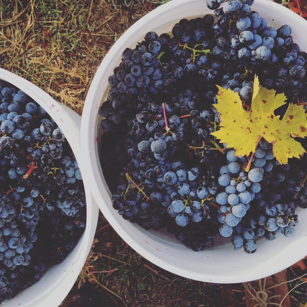Photo of State 42 Wines