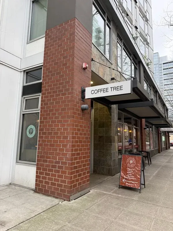 Coffee Tree