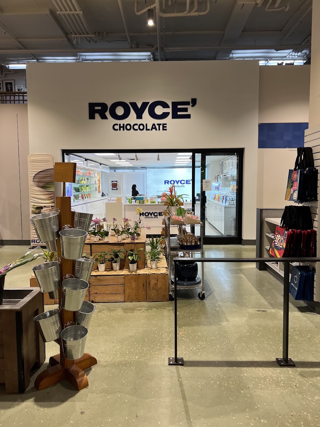 ROYCE' Chocolate at Uwajimaya in Seattle