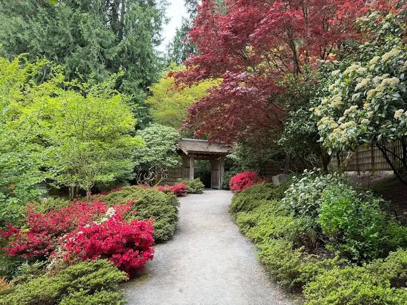 Yao Garden