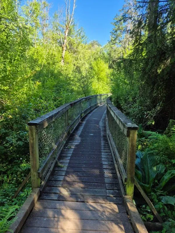 West Hylebos Wetlands Park