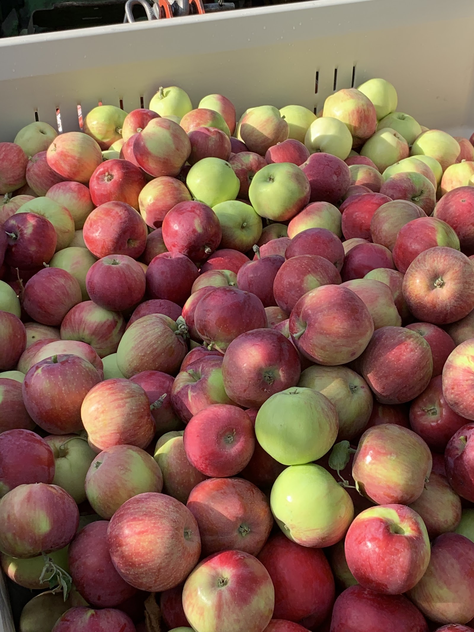 Photo of Hansen's Green Bluff Orchard LLC