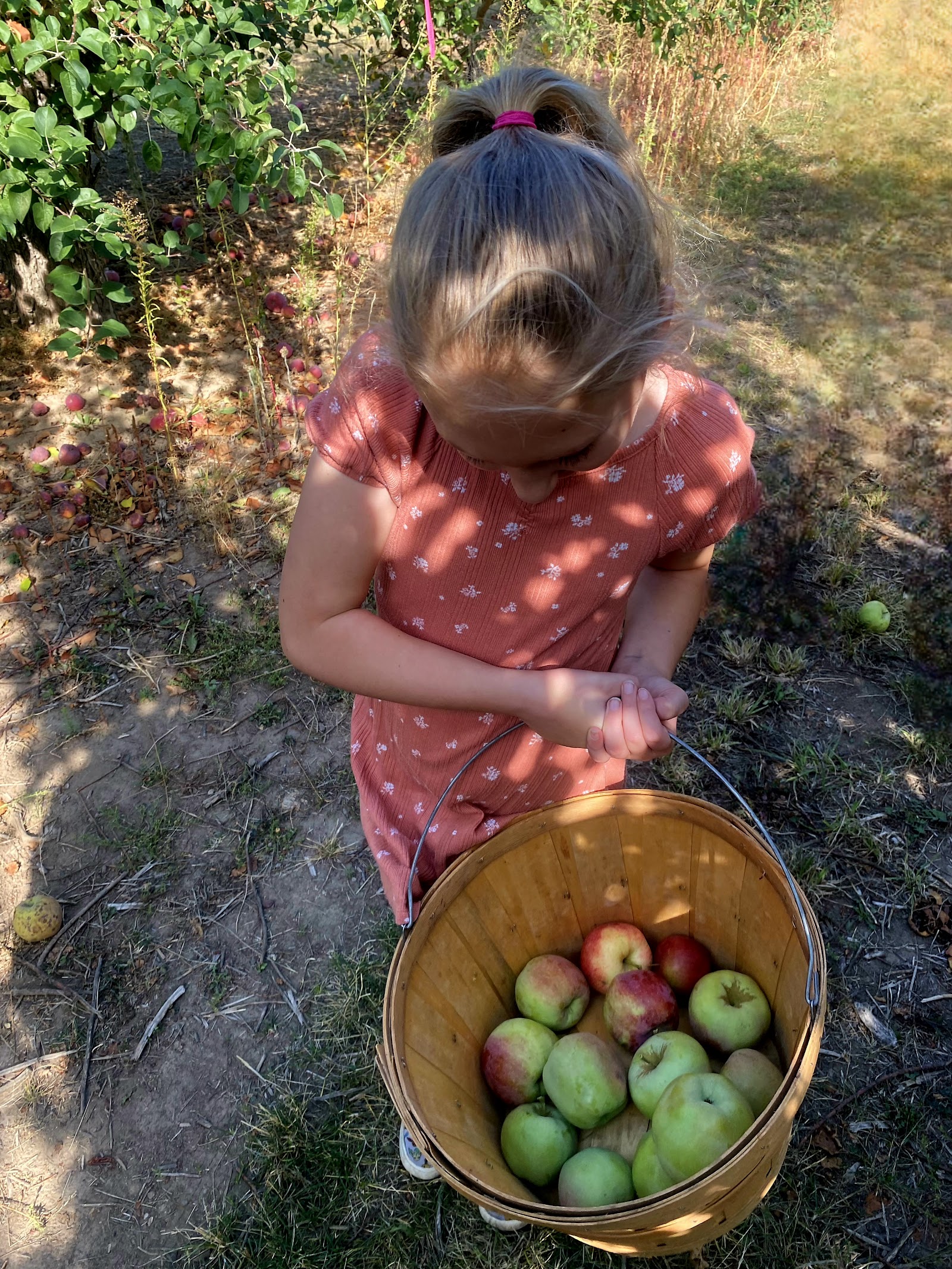 Photo of Hansen's Green Bluff Orchard LLC