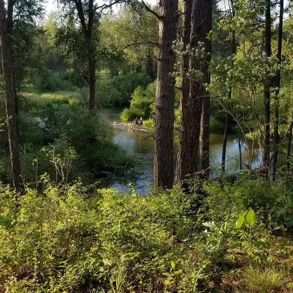 Haynes Estate Conservation Area