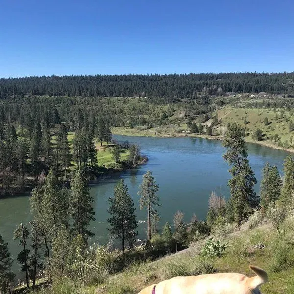 Whitewater Disc Golf Course