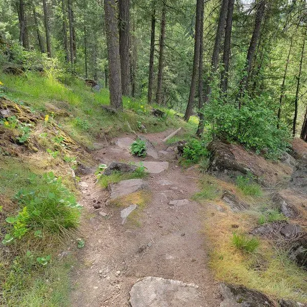 Little Spokane River Natural Area Uphill Trail