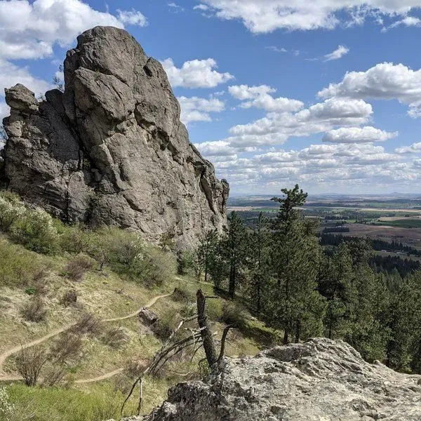 Iller Creek Conservation Area