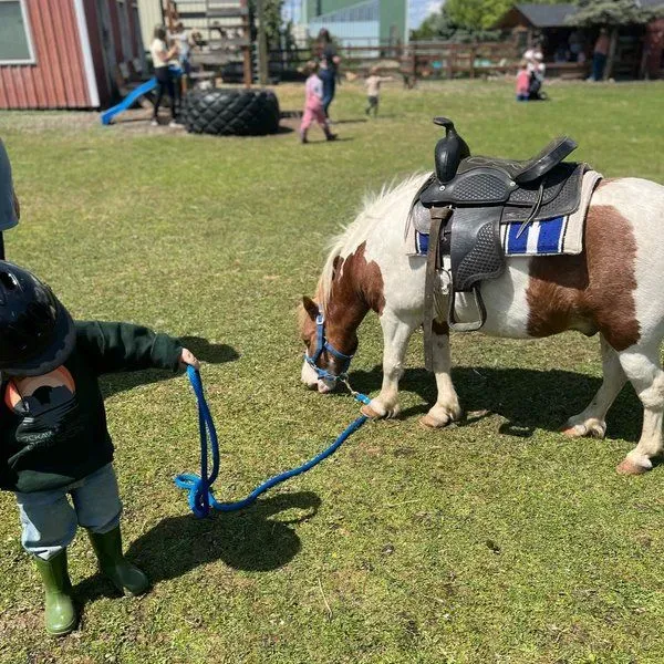 Happy found farm