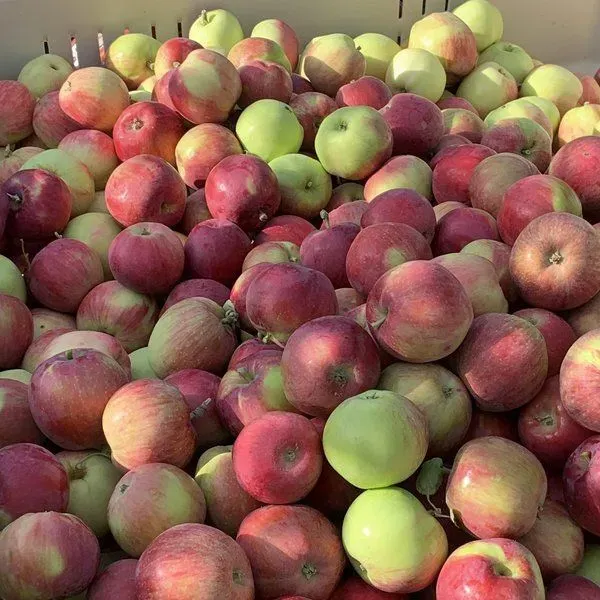 Hansen's Green Bluff Orchard LLC