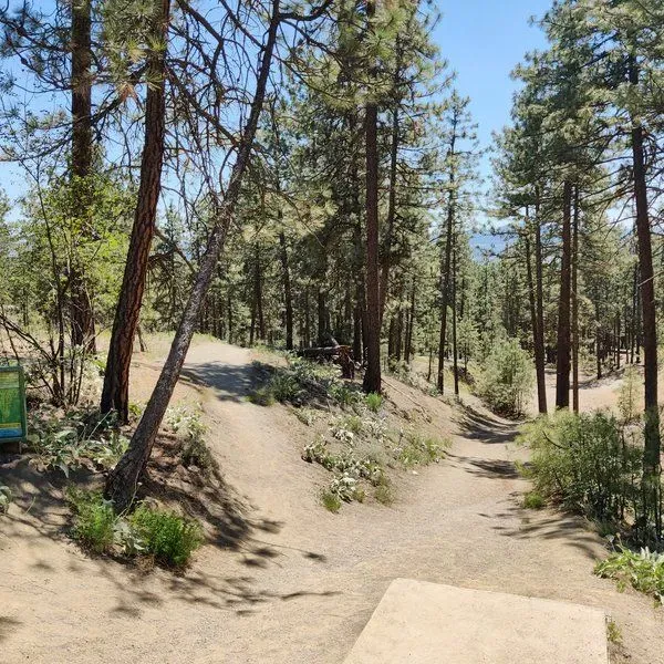 Jamboree Disc Golf Course