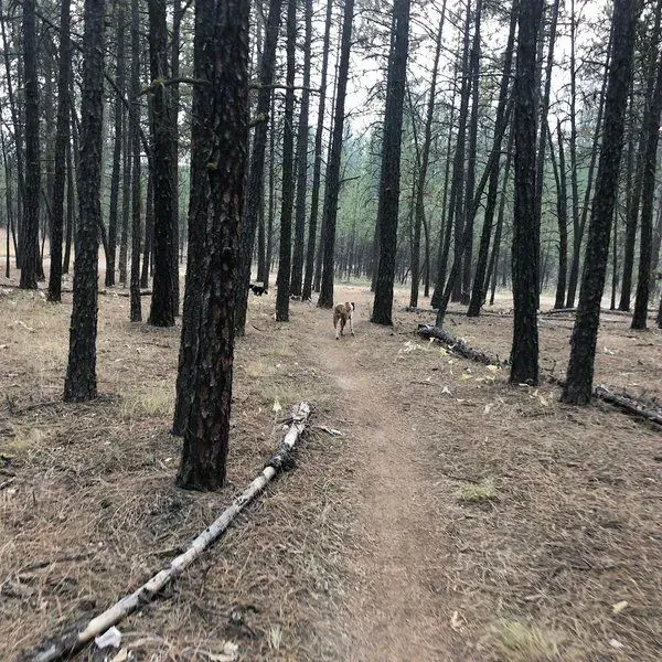 Wilbur Trailhead - The Centennial Trail