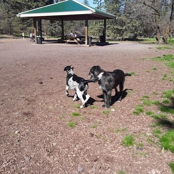 High Bridge Dog Park