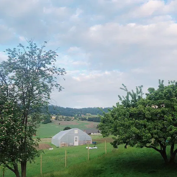 Sweet Mercy Farm - Spokane, WA