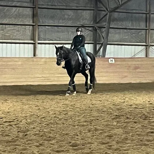 Pleasant Valley Stables & Event Center