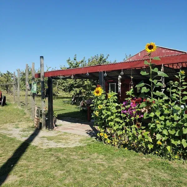 Cherry Shack Orchard
