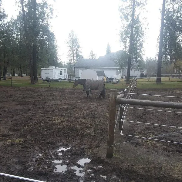 Liberty Grove Farm