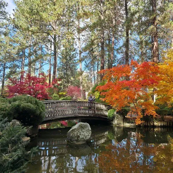 Nishinomiya Tsutakawa Japanese Garden
